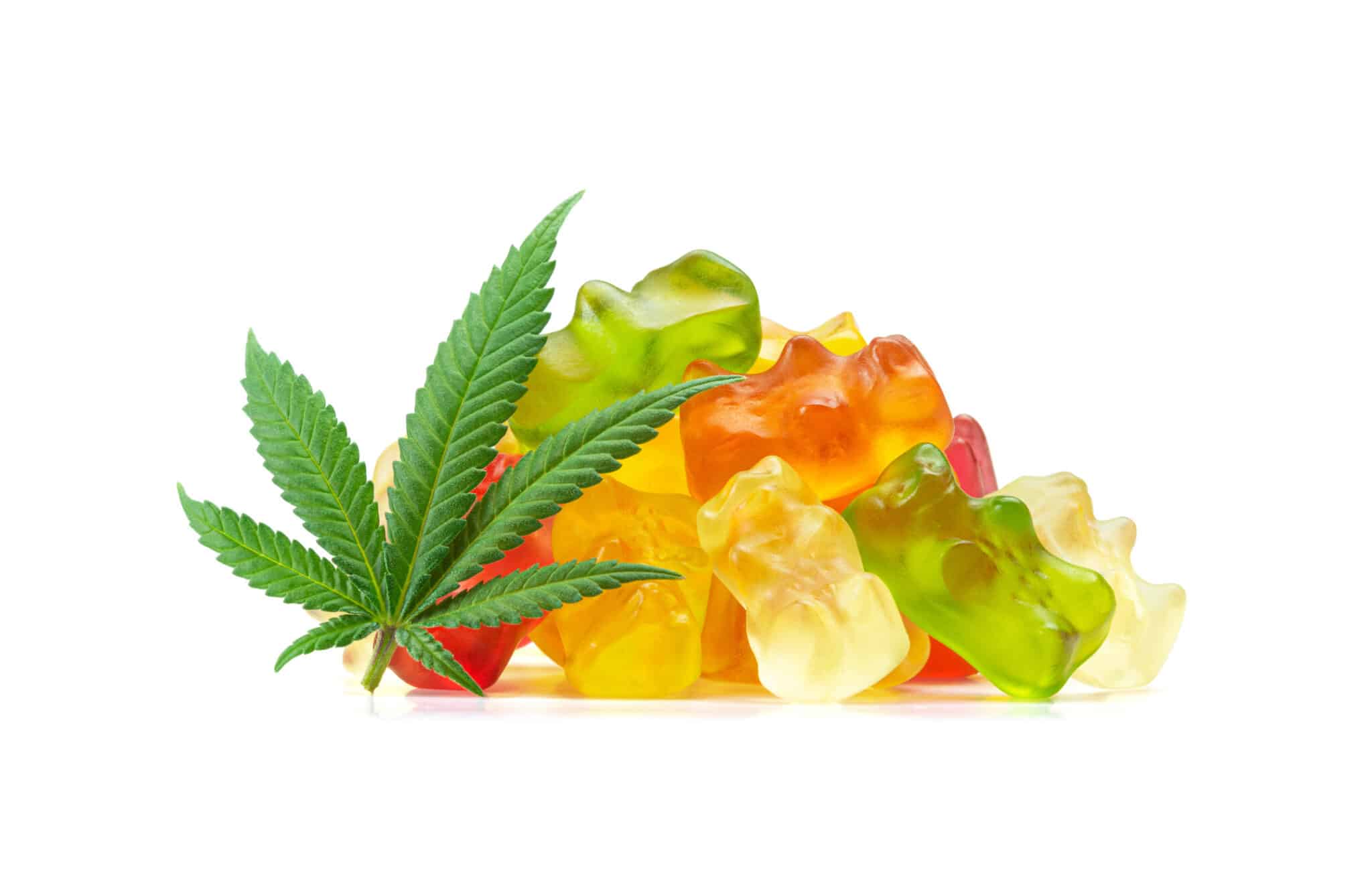 Top 6 Best Cannabis Edibles for Sale in New Jersey