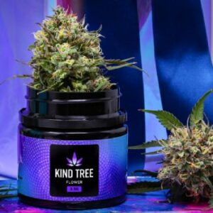 Kind Tree Cannabis