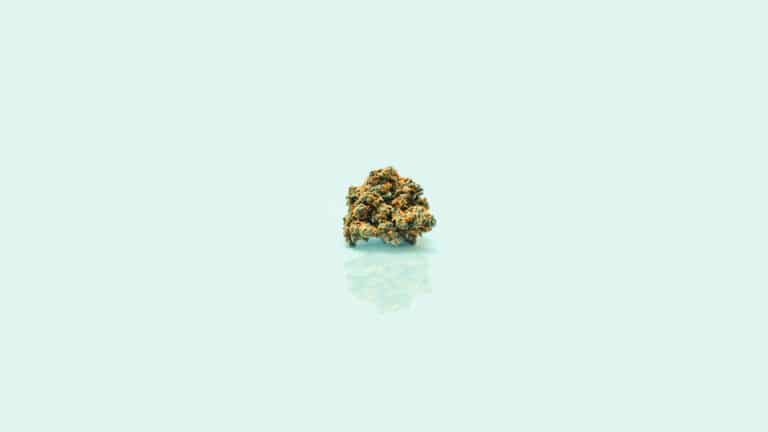 Popcorn Buds