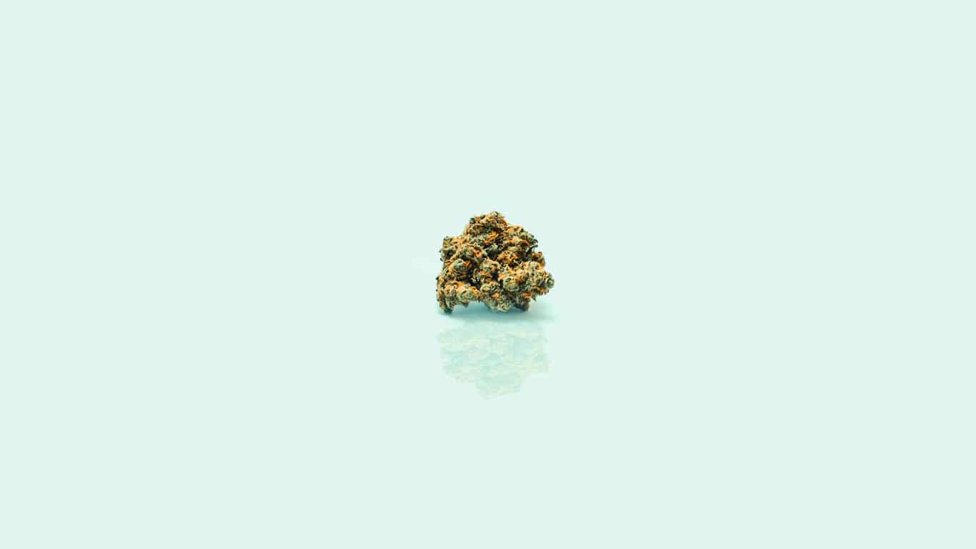 Popcorn Buds