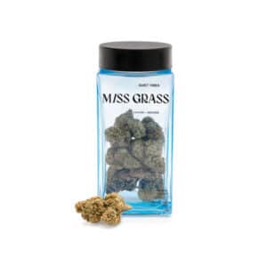 Miss Grass Quiet Times Flower Product Image